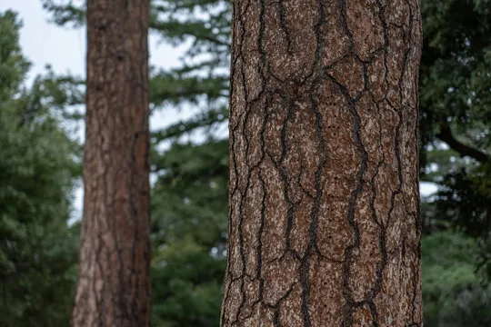 门徒娱乐 平台界面